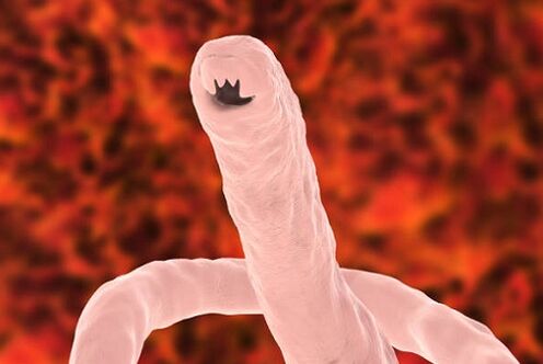 menschlicher parasitärer Wurm