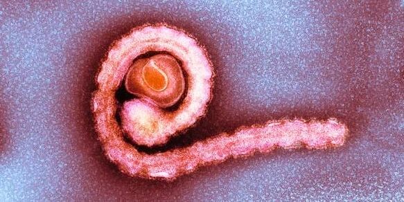 hatte Zwerg im menschlichen Körper