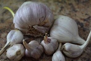 Knoblauch gegen Parasiten im menschlichen Körper